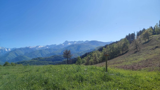 Col de Bès