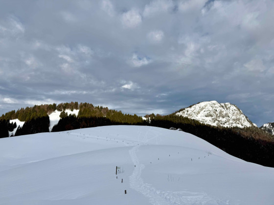 Col de Bornette