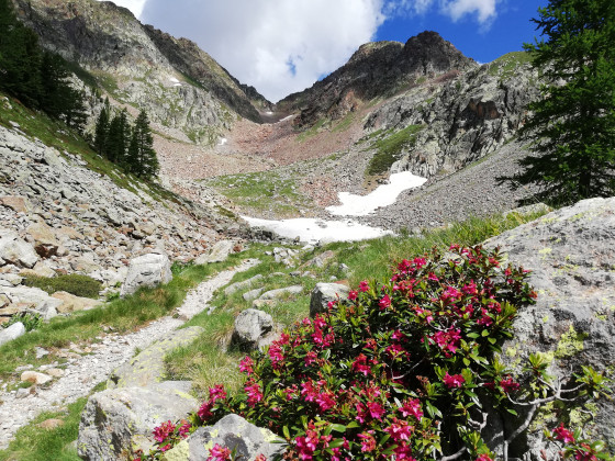 Col de Cerise