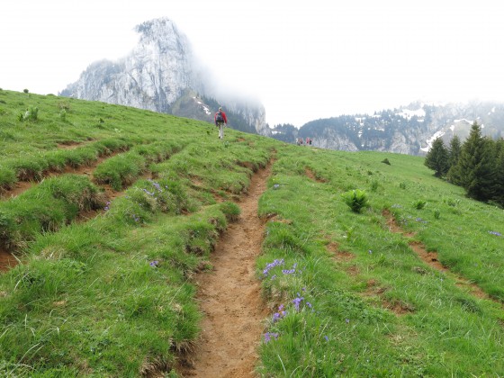 Col de Cou