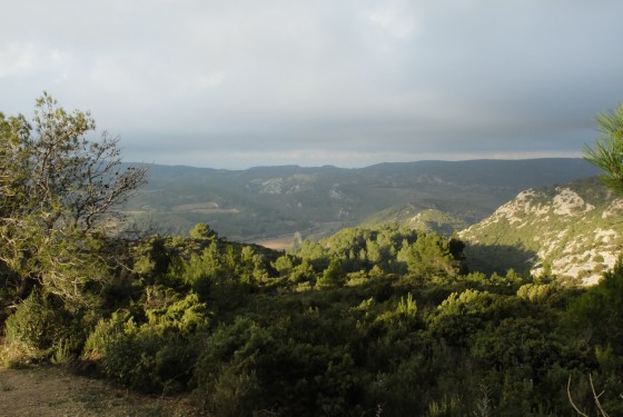 Col de Gléon