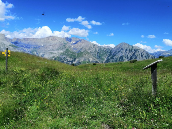 Col de Grisonnière