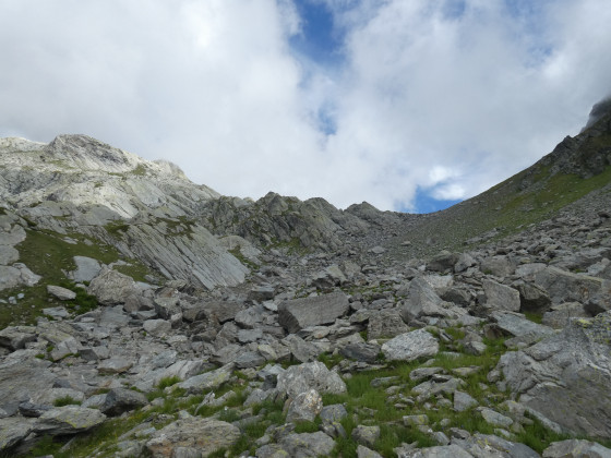 Col de l\'ouie blanche