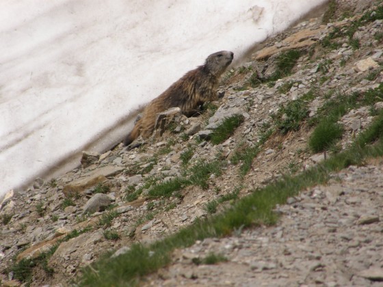Col de la Cayolle - Lacs de la petite Cayolle et des Garrets