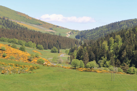 Col de la Croix de Bauzon