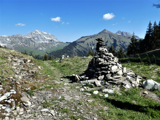 Col de la Fougère