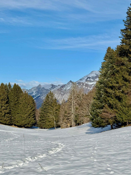 Col de la Fullie