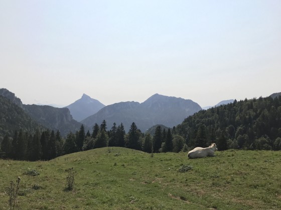 Col de la Ruchère Col de la Ruchère