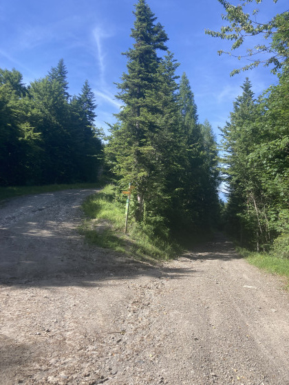 Col de la S&eacute;e