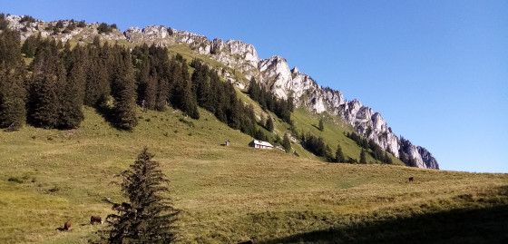 Col de Plan Champ
