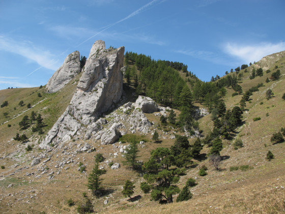 Col de plate Contier