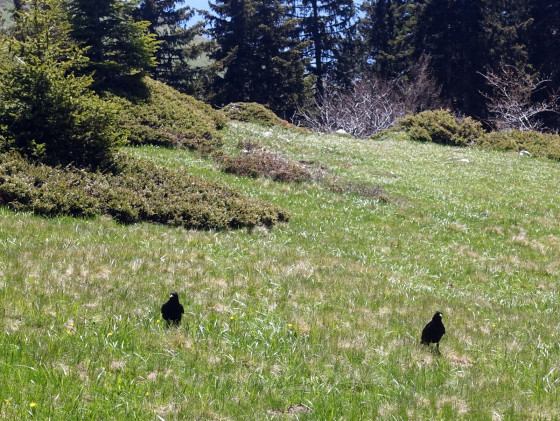 Col de Pravouta