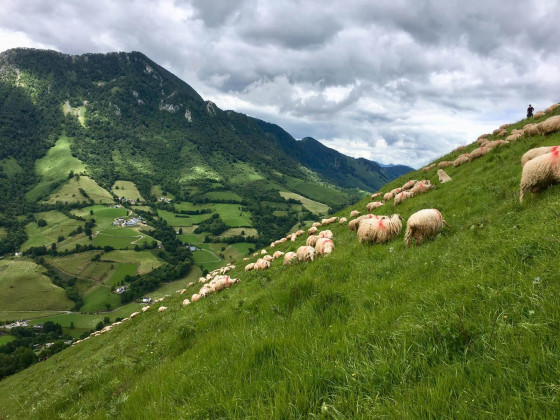 Col de Saudarie