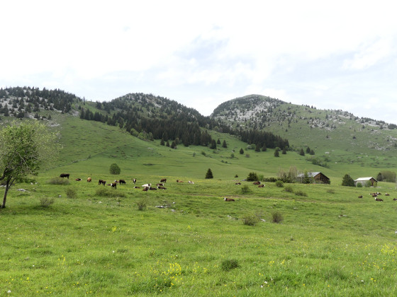 Col de Solaison