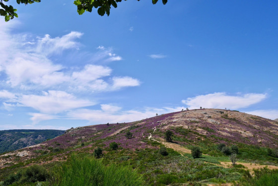 Col de Tirondel