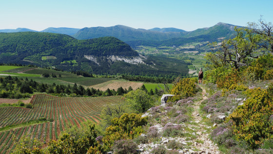 Col de Trappe