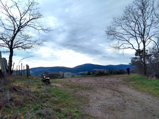 Col de trente sous