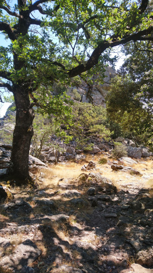 Col des Baumes de Roucayrol