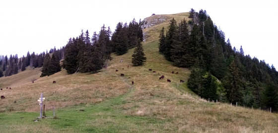Col des Boeufs et Mont Baron