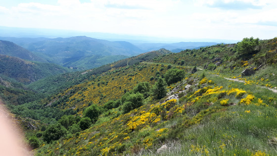 Col des Langoustines