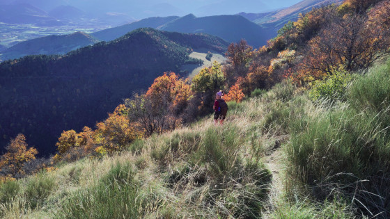 Col des Pins