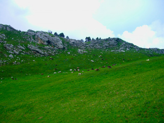 Col du Colombier