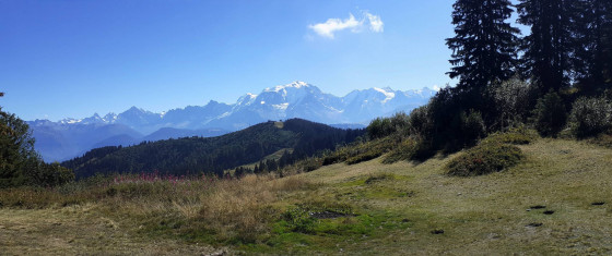 Col du Jaillet