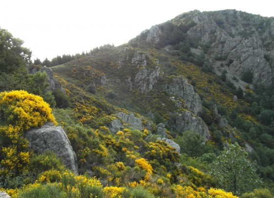 col du Merle