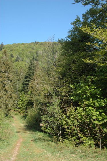 Col du Stalon