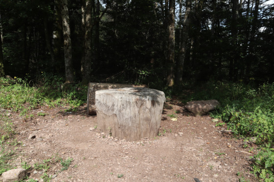 Col du Stalon