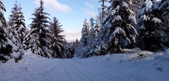 Col du Taurupt