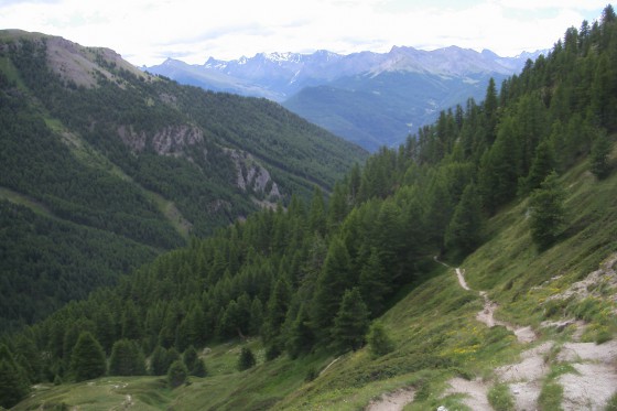 Col du Tronchet