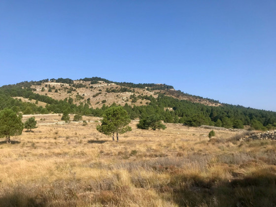 Col près de Mas Blanc