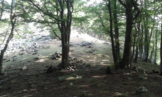 Coll de la Vaca Vella