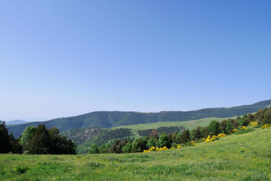 Coll de Siern
