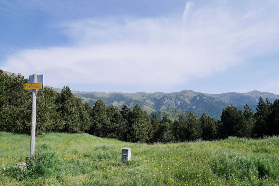 Coll de Siern