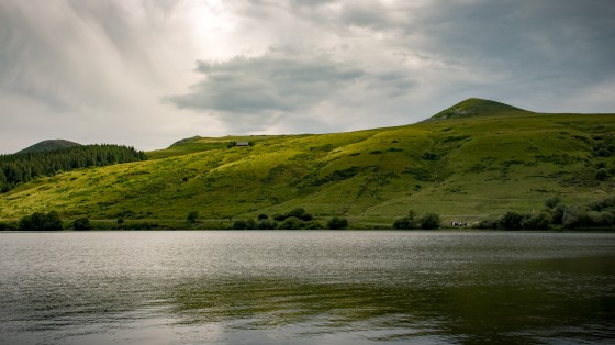Colline verdoyante