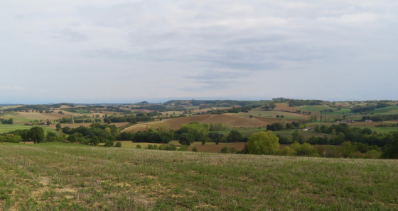 Collines du Lauragais