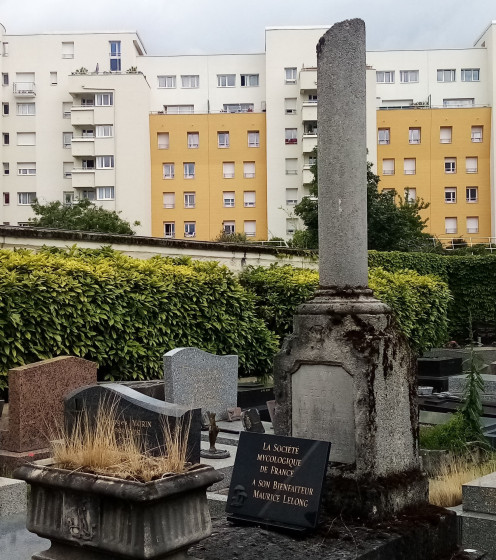 Colonne