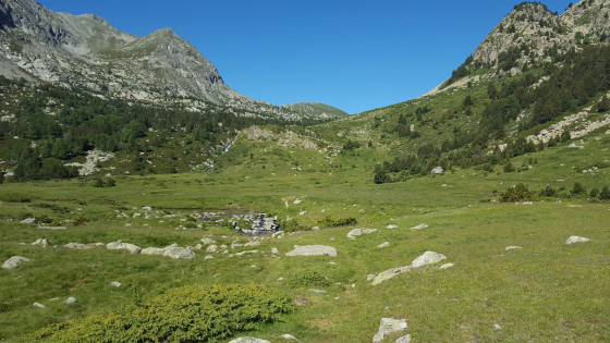 Coma de Campcardos