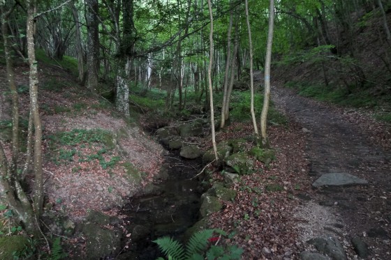 Combe au-dessus de La Grande Goutte