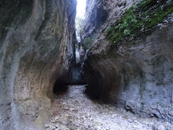 Combe de Curnier