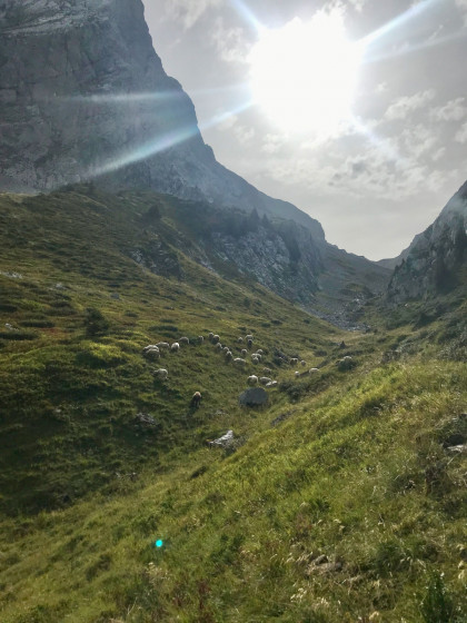 Combe de la Grande Forclaz