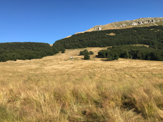 Combe de la Louvaterre