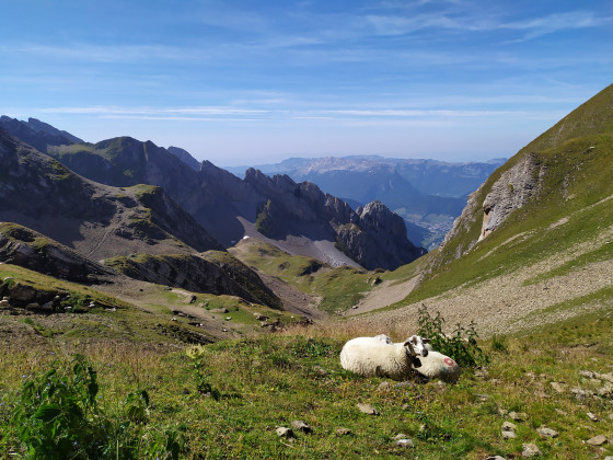 Combe de Tardevant