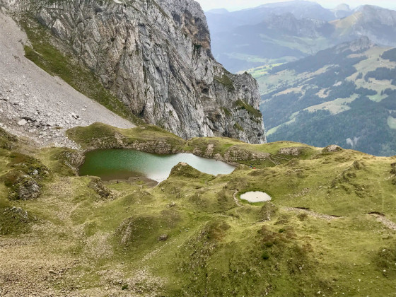 Combe de Tardevant