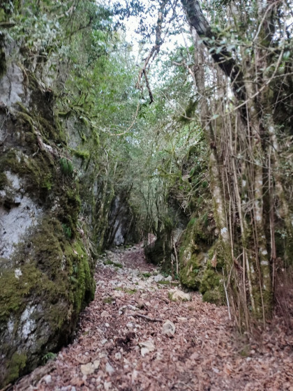 Combe de Verdolier