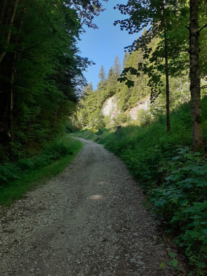 Combe du Furon