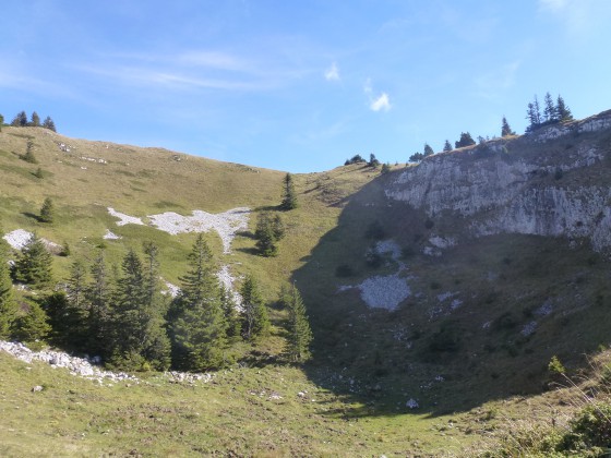 Combe