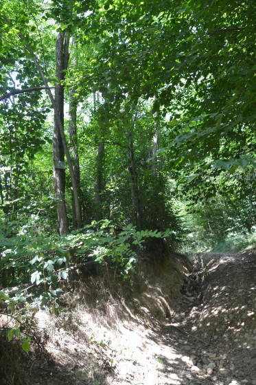 Combe